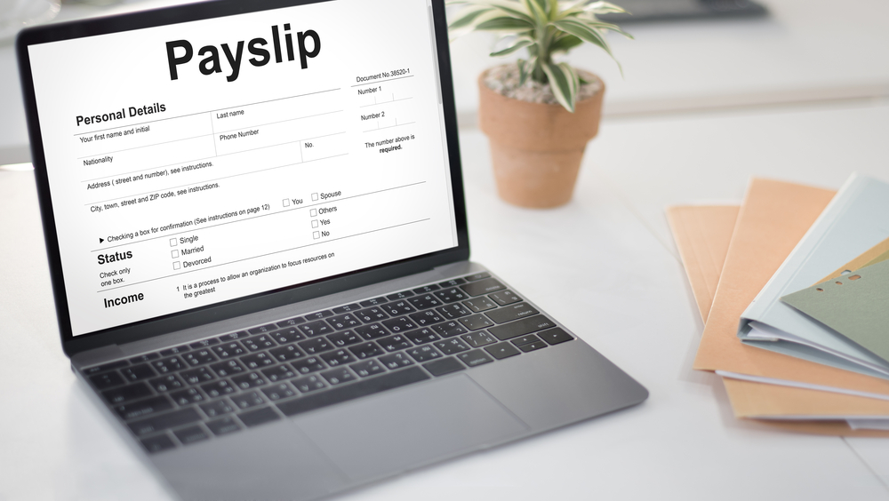 Electronic payslips in sussex payassist outsourced payroll services
